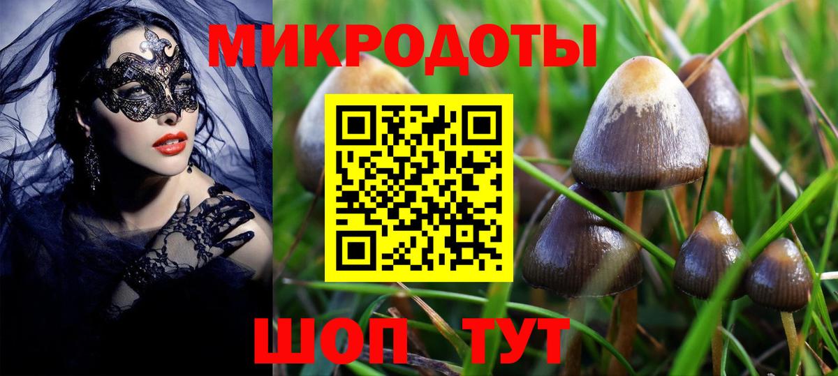 Дальнегорск  наркота  Вход с VPN  Псилоцибиновые грибы GOLDEN TEACHER 
